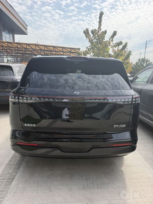 Dongfeng 008 620km ultra