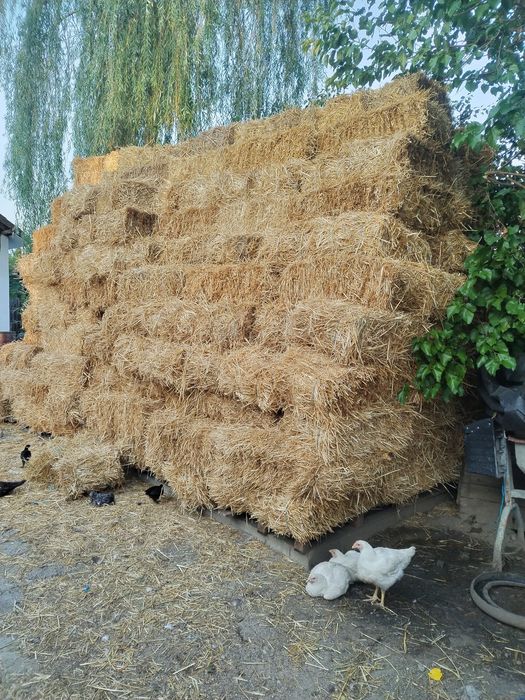 Vând baloți iarbă si de paie!
