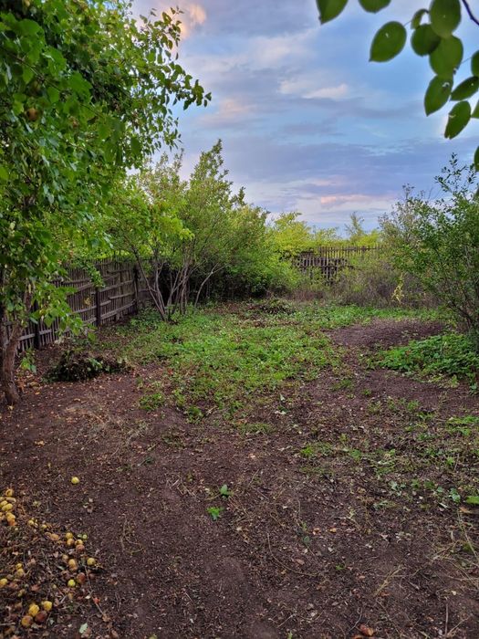 Продам дачу сад Березка