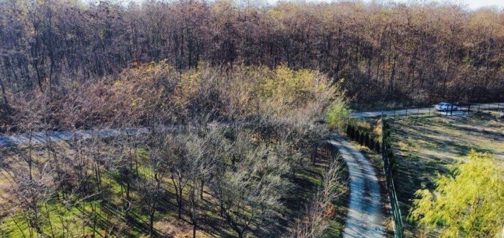 Teren de vânzare vizavi de Pădurea Snagov