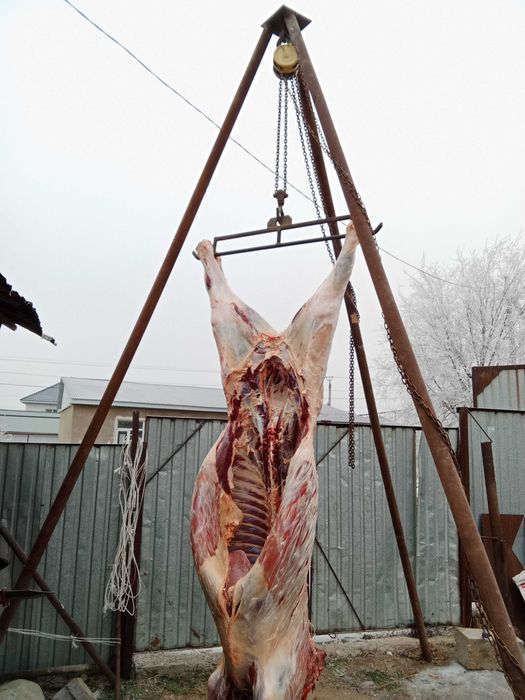 Тринога для забоя КРС