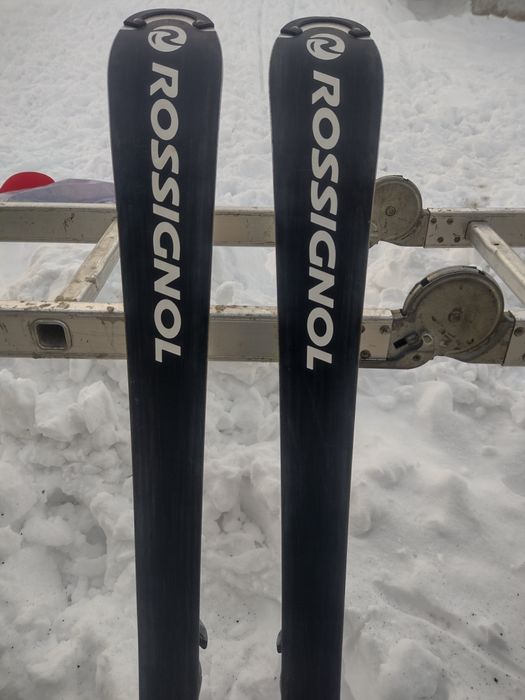Vand schiuri Rossignol Radical FIS 145 cm