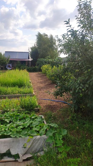 Продам дачу в Коянды