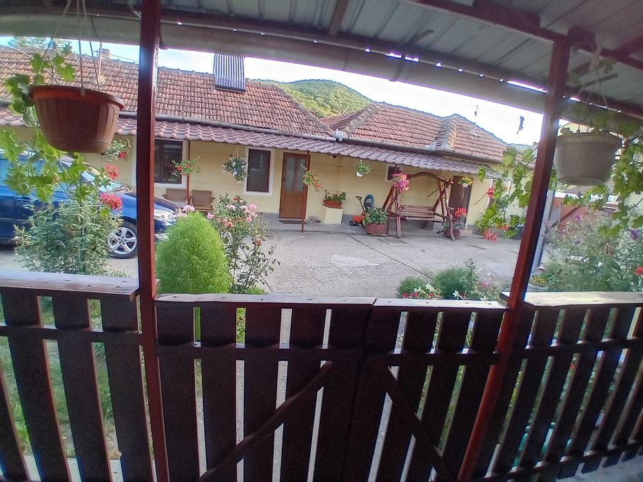 Casa de vanzare in Vetel