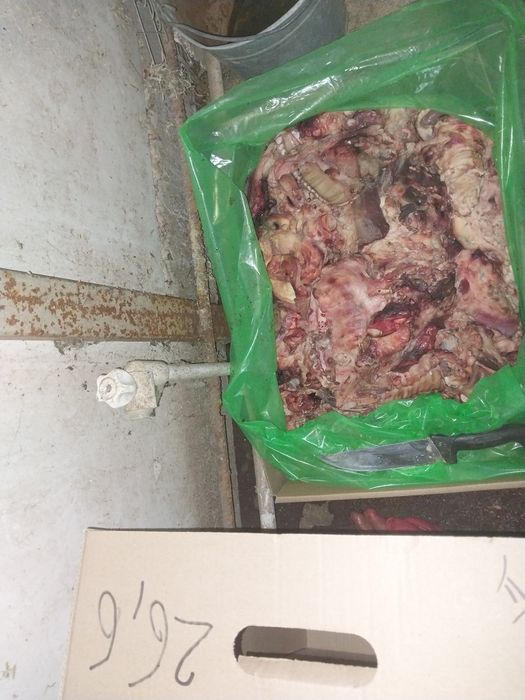 Мясо,корм собакам