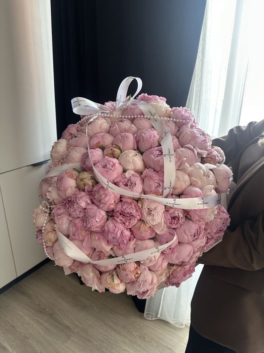 101 Голландкий пионы