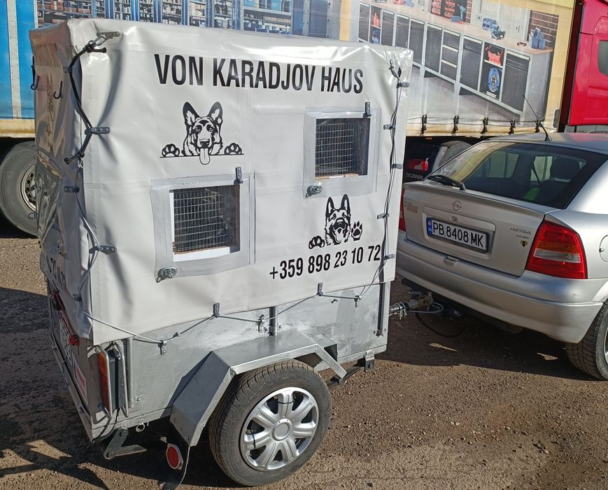 Превоз на домашни любимци в България