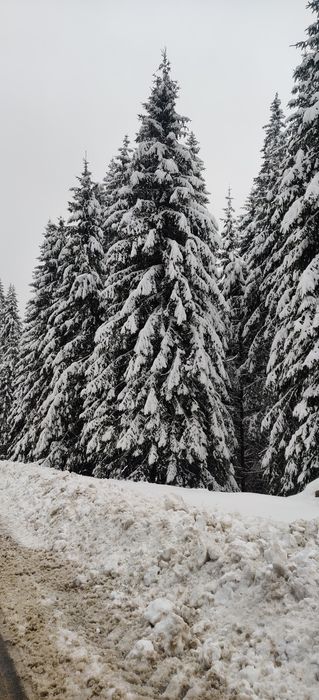 Апартамент за гости Милена