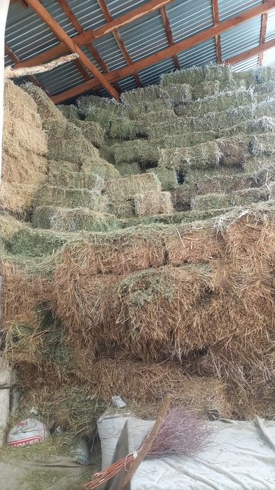 Продам люцерну и  салому