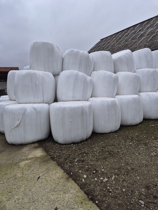 Бали люцерна- сенаж