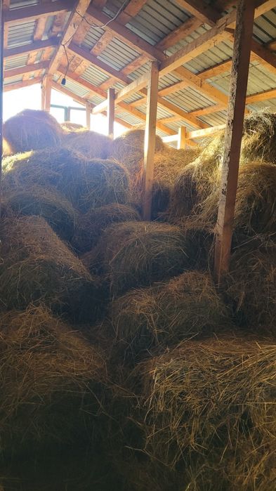 Vand baloti de fan si de ovaz