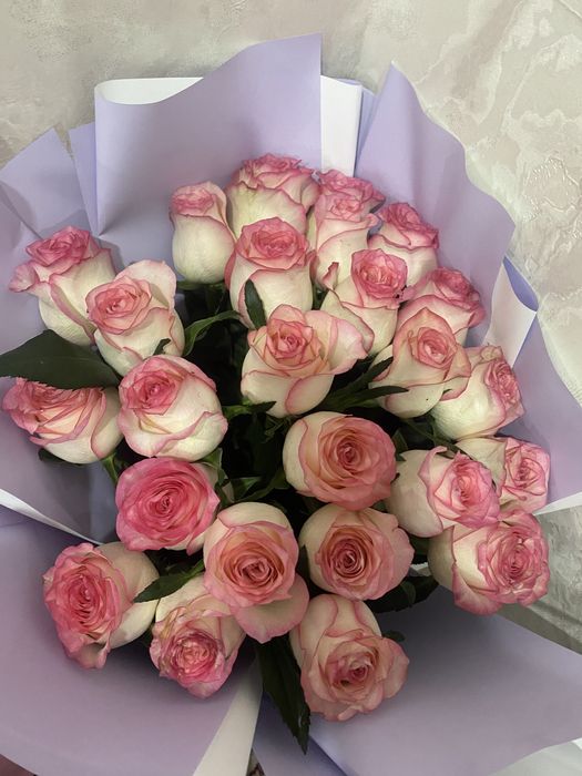 Бугін ғана алынған гүл