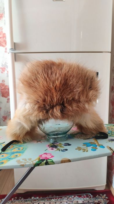 Шапка мужская из лисы.