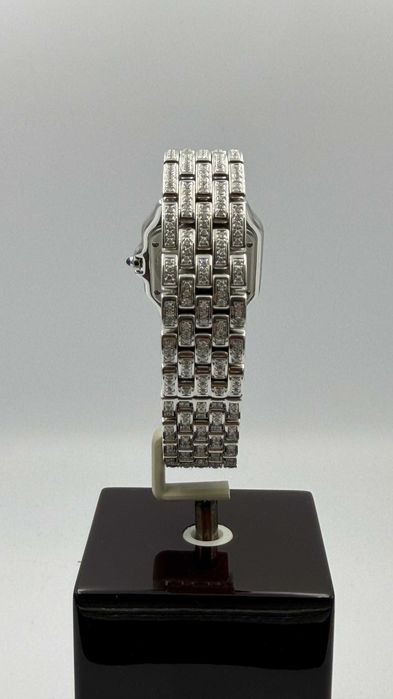 Cartier WSPN0007, mediu, otel, 2024 și 2025, 7500€.