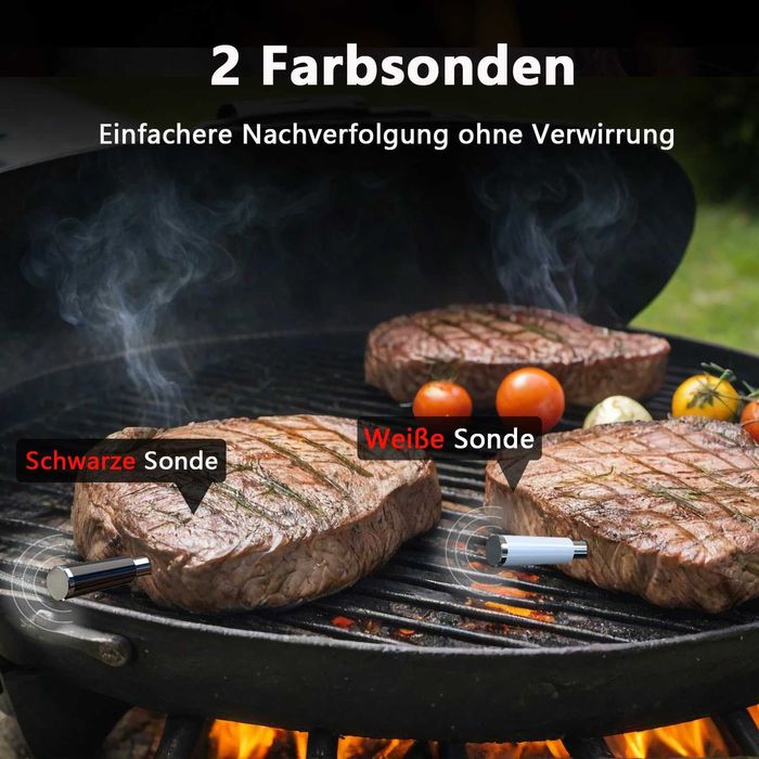 Termometru wireless pentru friptura BFOUR Bluetooth cu 2 sonde IP67