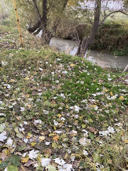 Тойтепа, 1,5 гектара, вдоль дороги!!