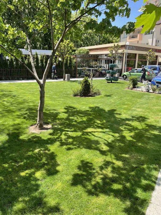 Почистване и поддръжка на зелени площи