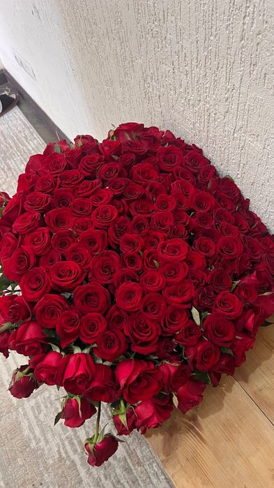 Красные розы 151шт.