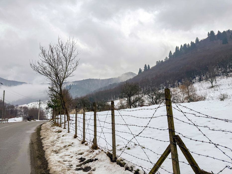 Teren intravilan 2300 mp Paltinis-Valea Stezii Sibiu
