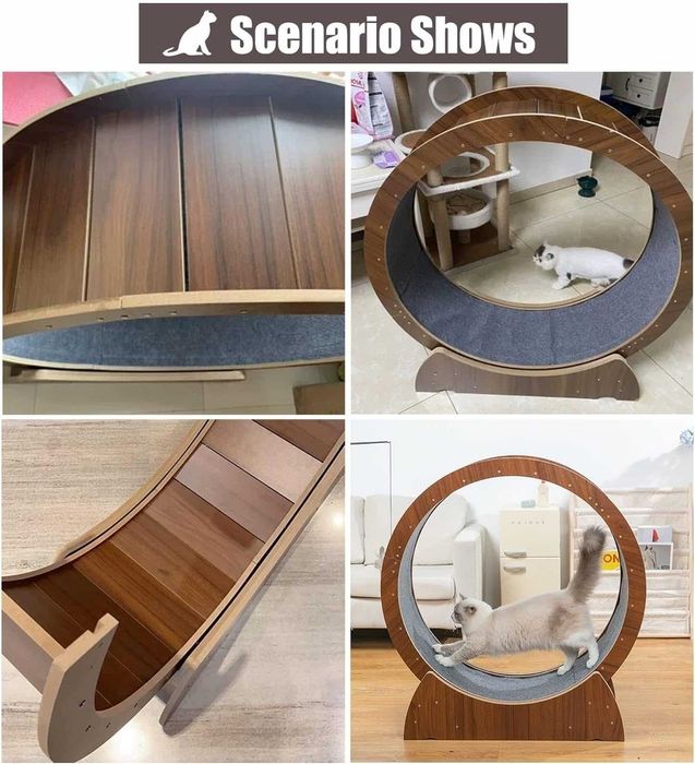 Колело - бягаща пътека за котки