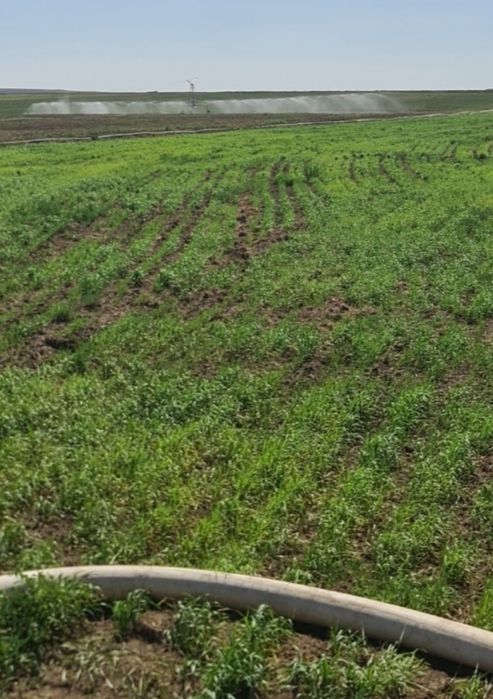 Дождевальная машина