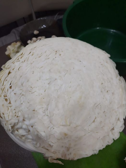 Продам домашнюю капусту