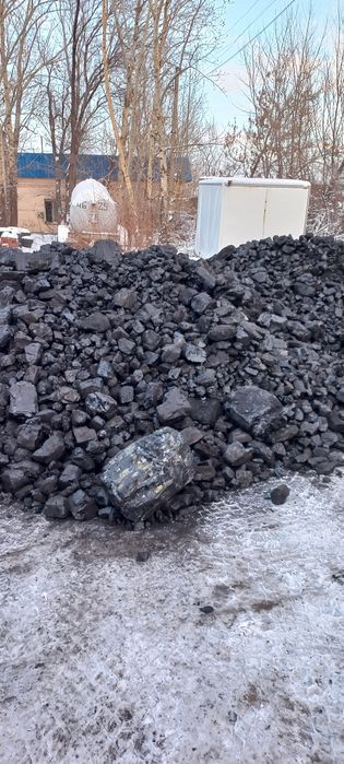 Уголь  Шубаркуль отборный сортовой