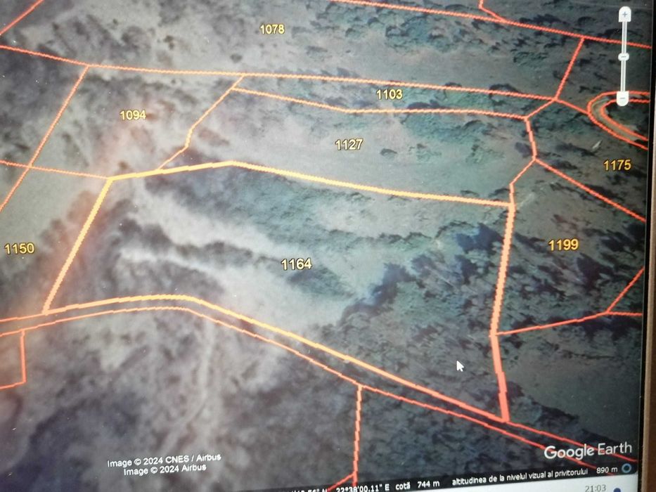 7454 m2 Teren cu drum de acces pietruit in padure