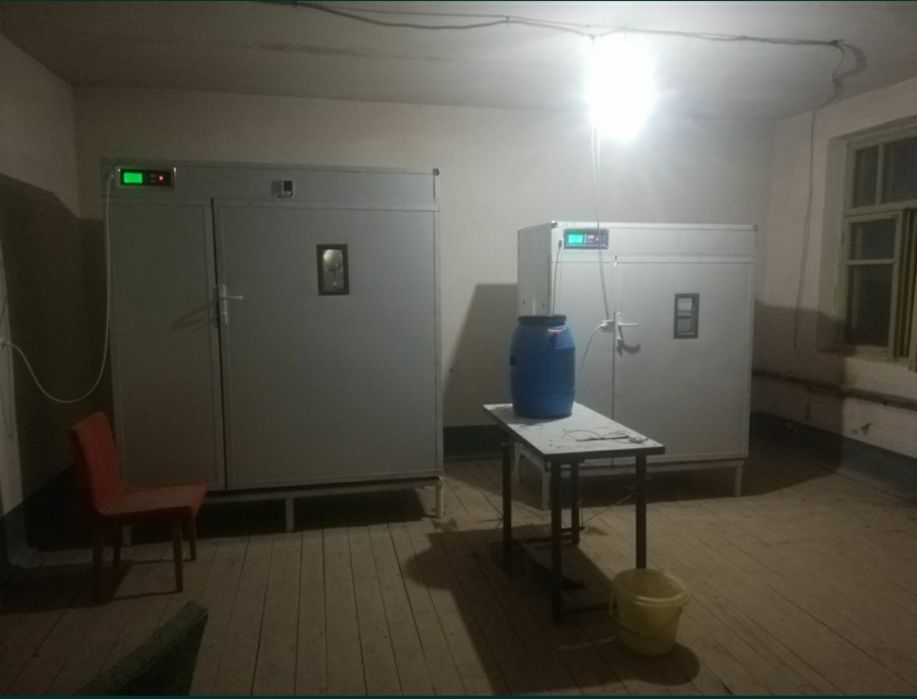 Инкубатон.inqubator