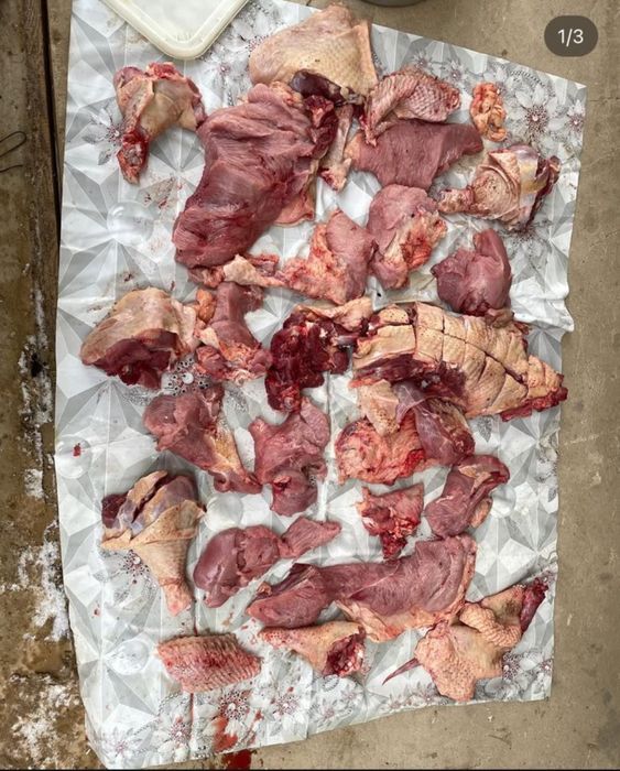 Индюк жақсы бағада