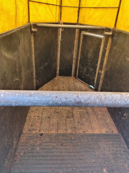 vând remorca pt carat cai