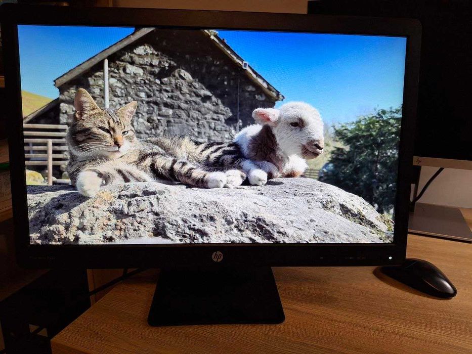 HP 23" ProDisplay P232