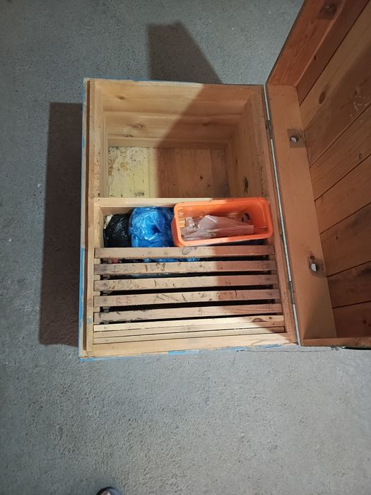 Asal ari yashig 3 tayangi 1 ta eski