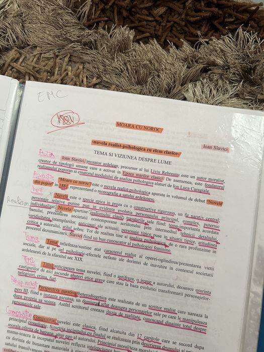 Materiale Romana Bac Eseuri+sub I+II+ Competente