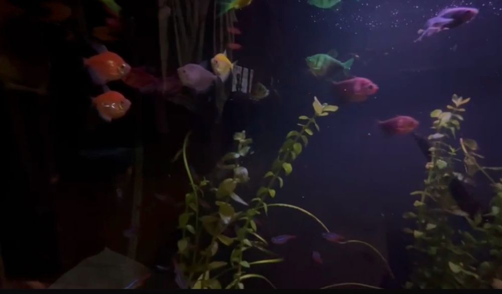 Продам или обменяю