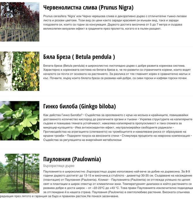 Разсадник Монтана : дървета дръвчета овошки фиданки за озеленяване