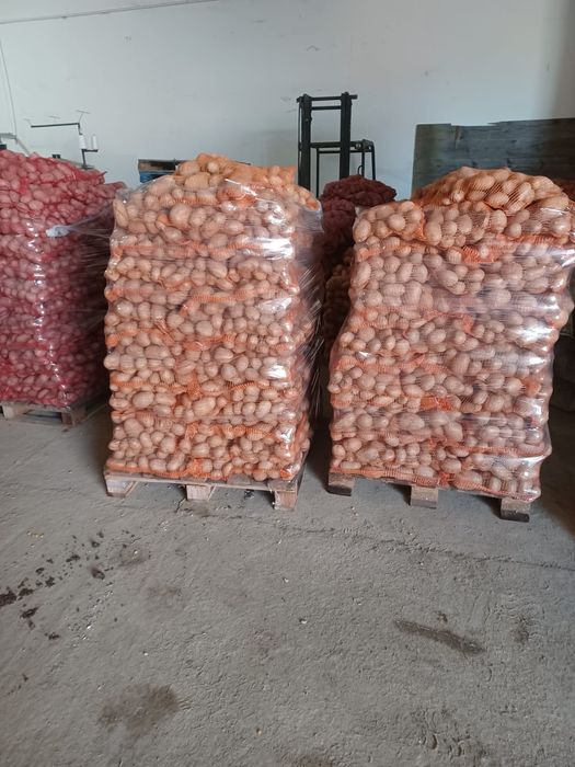 Cartofi, egalizati 10kg, 25 kg
