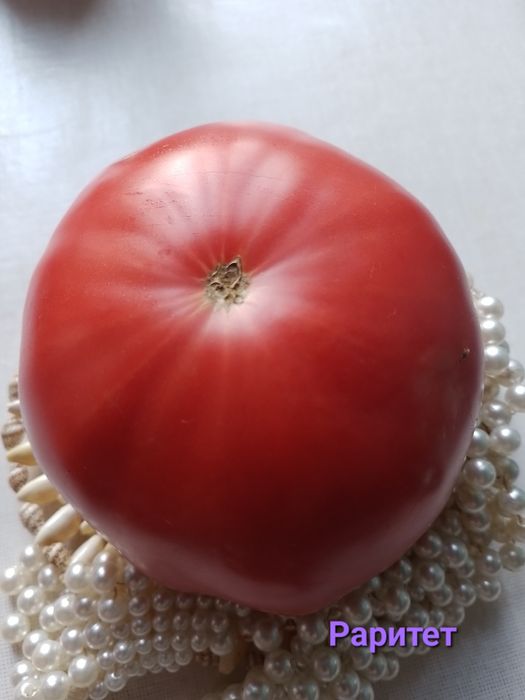 Продажа коллекционных томатов