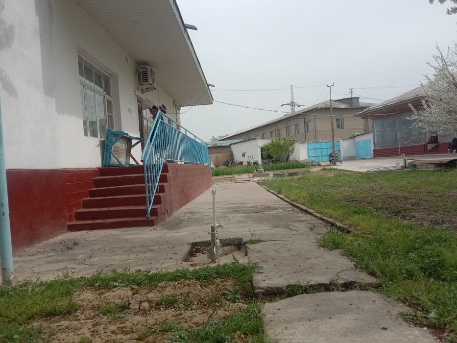 Срочна сотилади котта ховли