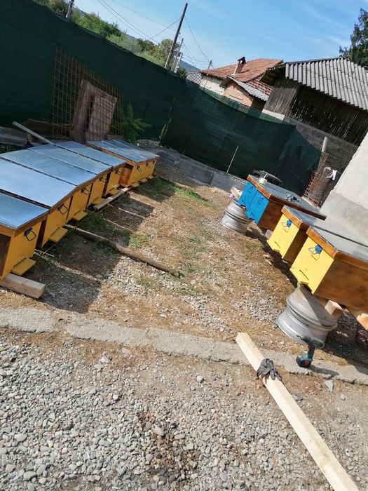 Vând cutii 18 rame fără albină lichidare stupina