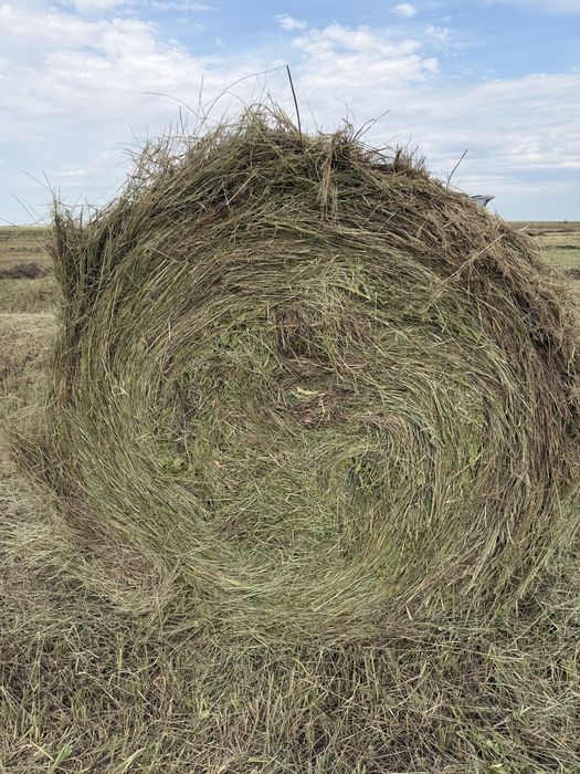 Сено в рулонах. Шөп