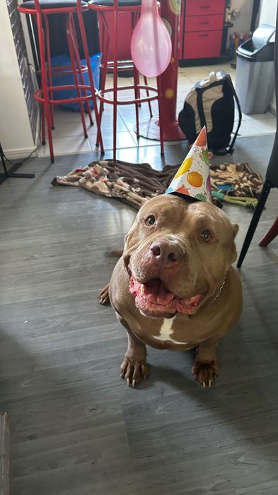 Американско були XL