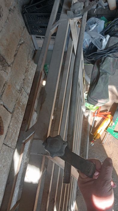 Багажник каринаға