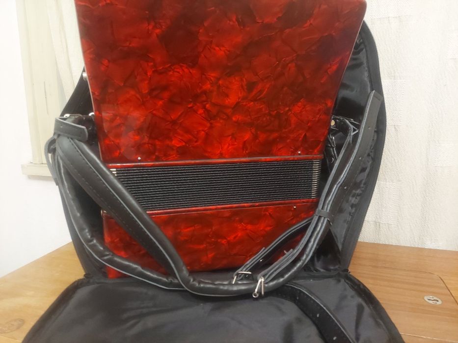 Акордеон Irin Ирин 48 баси