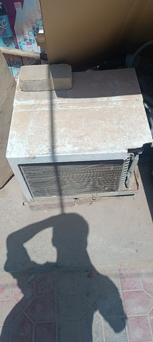 Vitirina xoladelnik muzaltgich