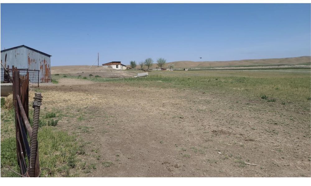 Фазенда крестянское хозяйство кашар