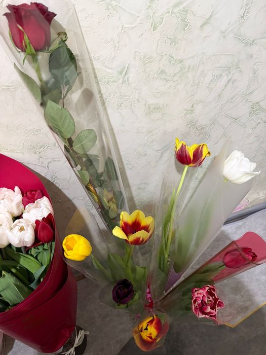 Свежие тюльпаны разные