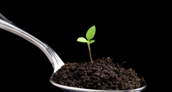 Биогумус  табиғый тыңайтқыш сатлады