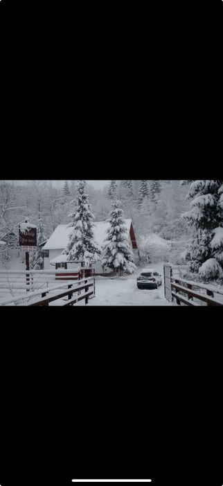 Craciun 2026  Câmpulung Moldovenesc