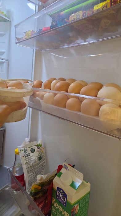 Домашние яйца в городе